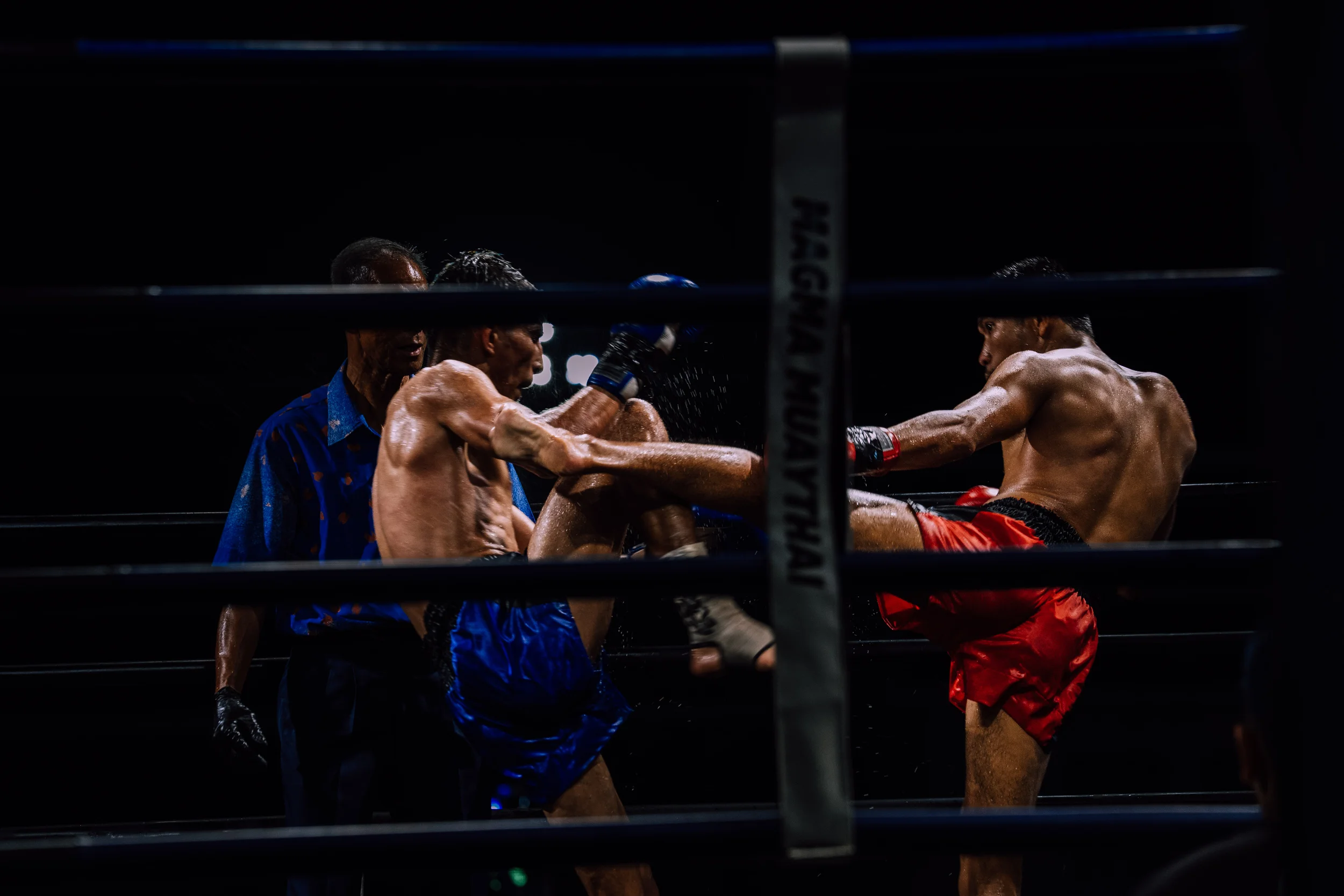 Muay thai 6