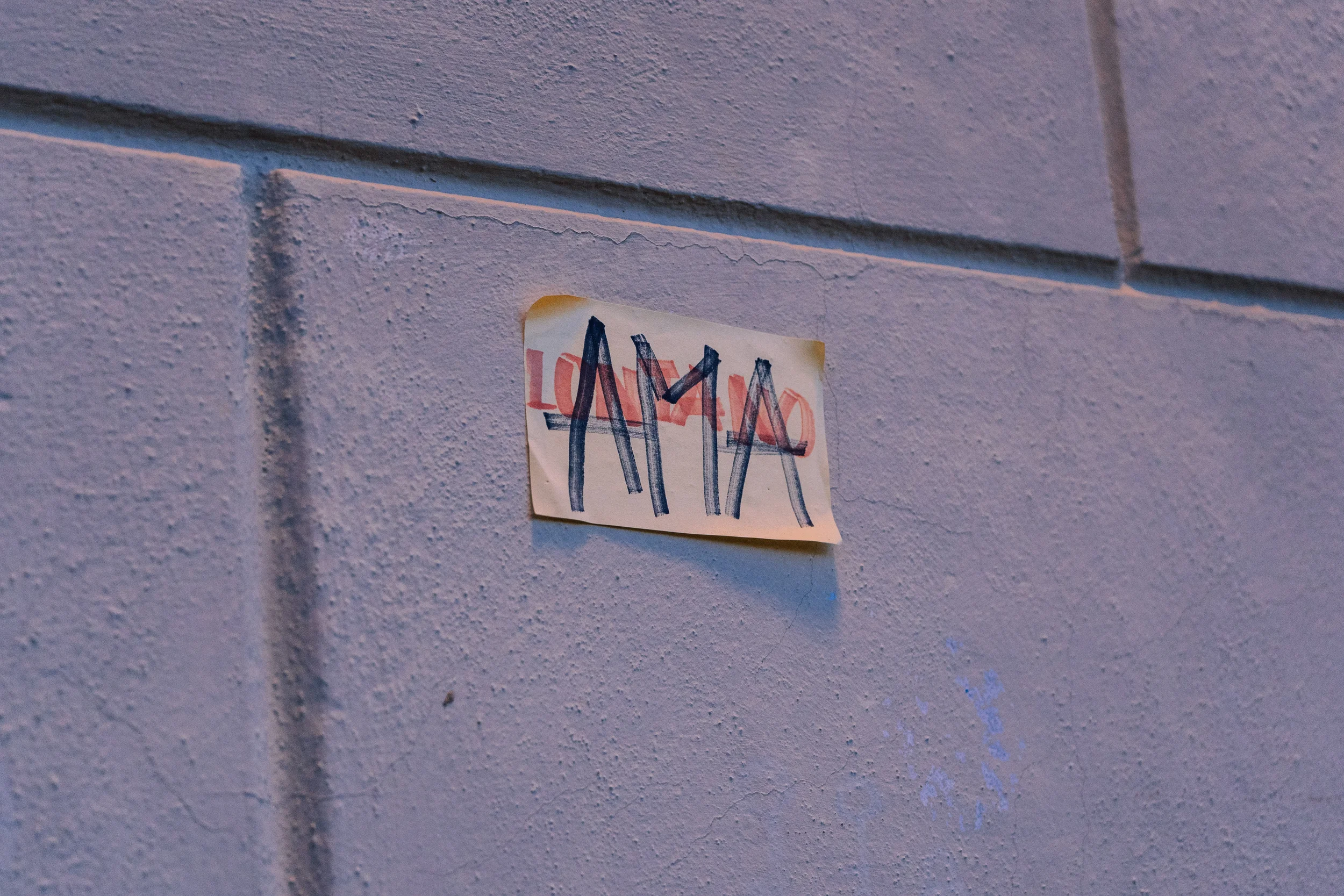 Immagine 6 non una di meno