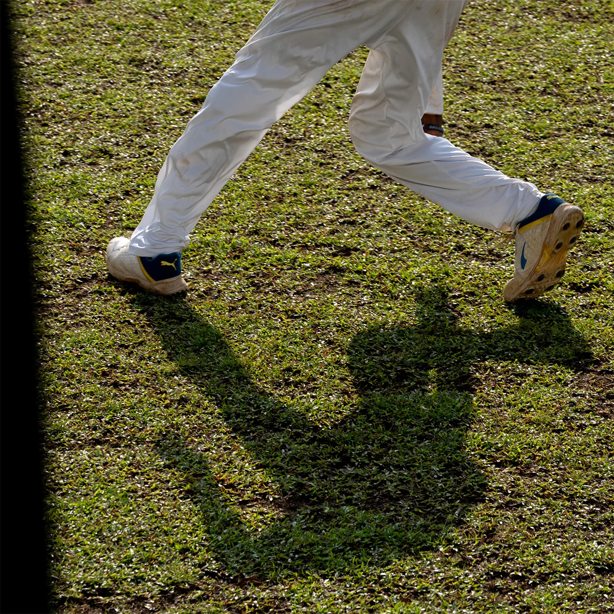 Fotografia di Cricket