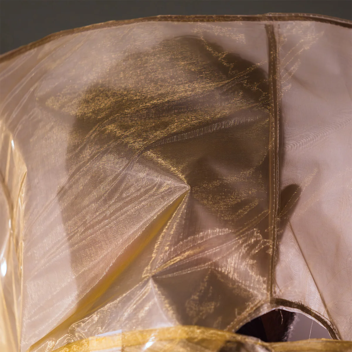 Thumbnail del progetto Havona