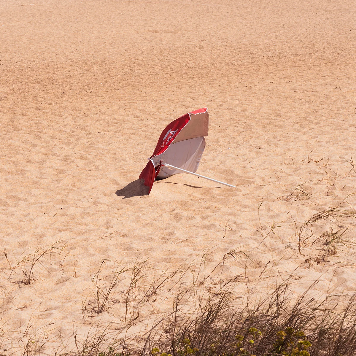 Thumbnail di Portogallo